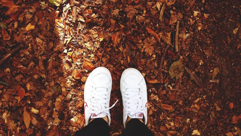 adidas sneakersy dziecięce kolor biały
