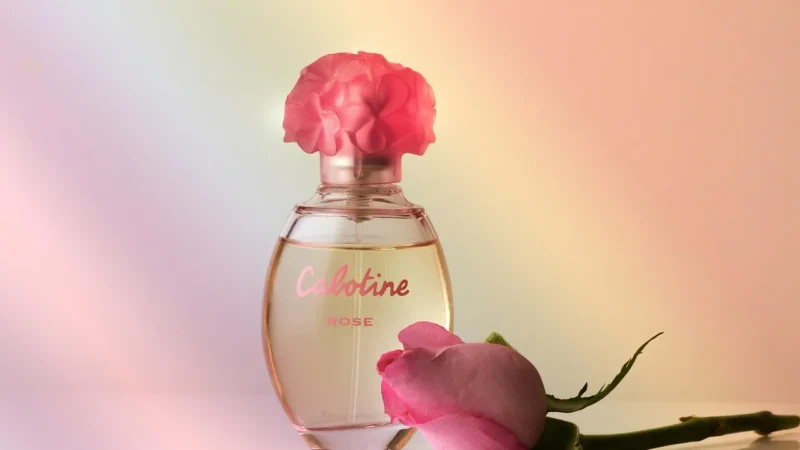 Calvin Klein Eternity Eau Fresh Woda Perfumowana 100Ml