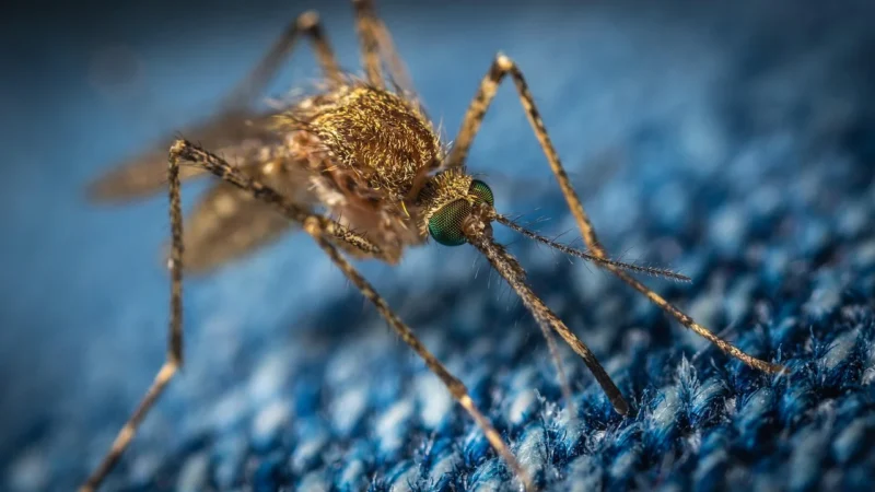 Cienkie Spodnie dresowe kopertowe wiązane