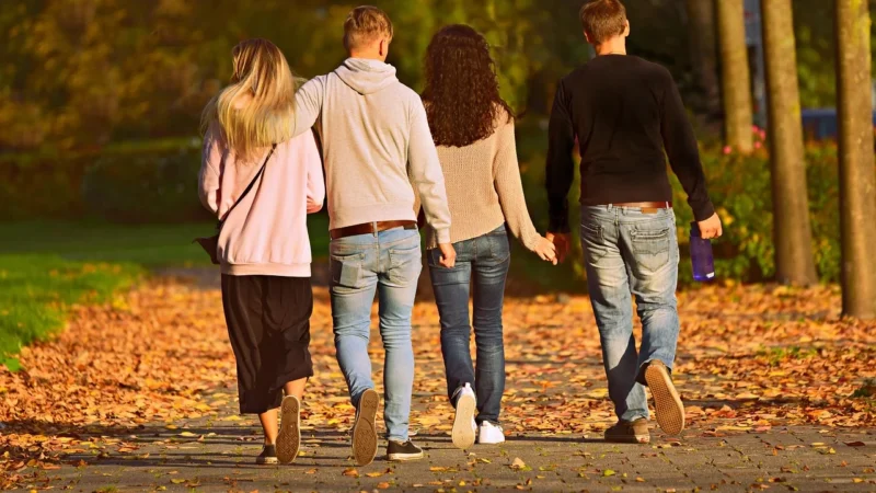 Dwukolorowa Krótka Bluza z Kapturem – Wzór 122