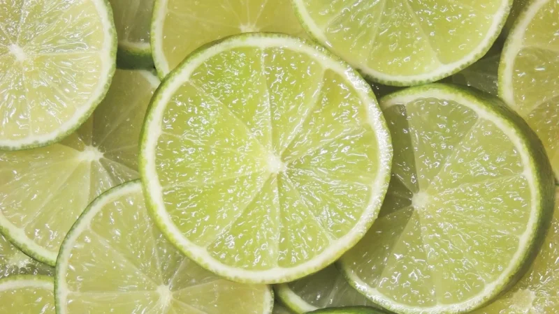 Figl Spodnie Damskie Model 377 Limonka