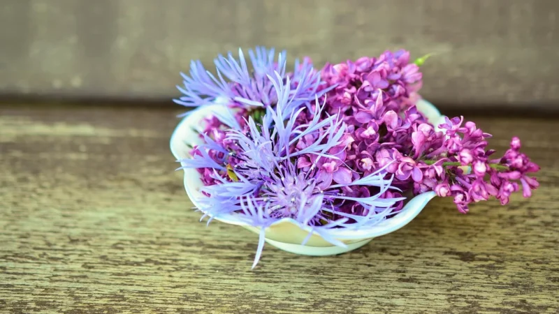 K008 Spodnie z wysokim stanem i falbanką – lilac (Kolor lila, Rozmiar L (40))