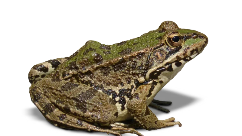 Luźne rybaczki ze spranej bawełny