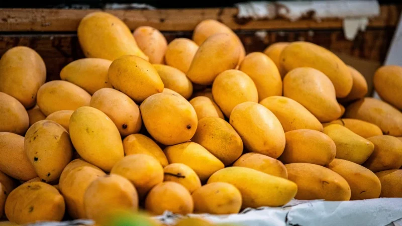 Mango Torebka Charm 27040915 Czarny
