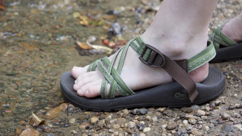 Scarpa Mojito Trail Gtx Tytanowo Musztardowe 63316 200 8057963202196