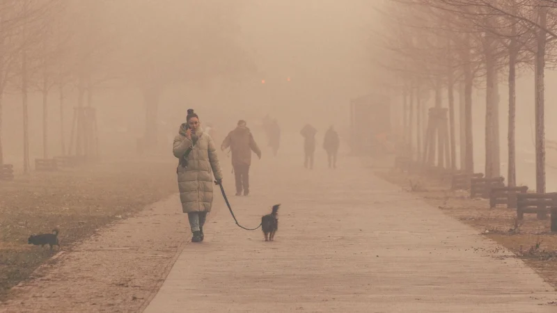 Silvian Heach sweter damski kolor brązowy lekki