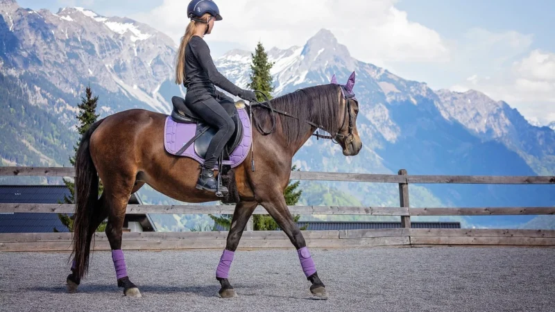 Sinsay – Torebka saddle bag – Brązowy