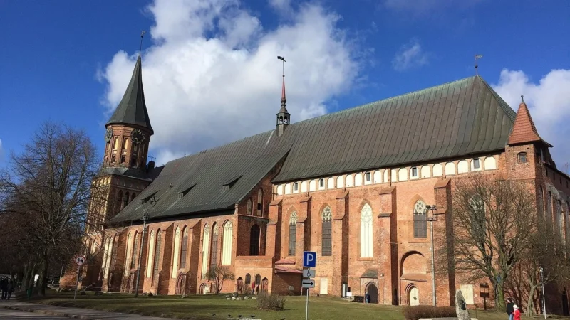 Spodnie 7/8 z nogawkami w kant (Brązowy, L)