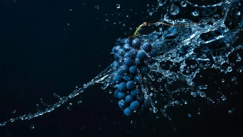 Spodnie Damskie Model DHJ-SP-15679.01X Dark Blue