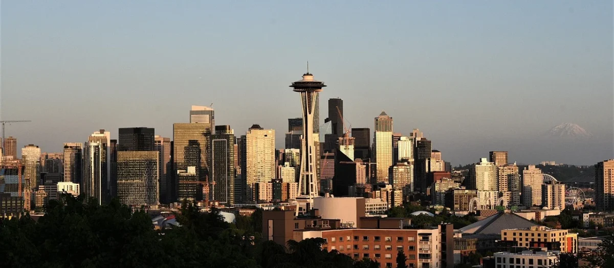 Spodnie Seattle Bordowy XXL 44