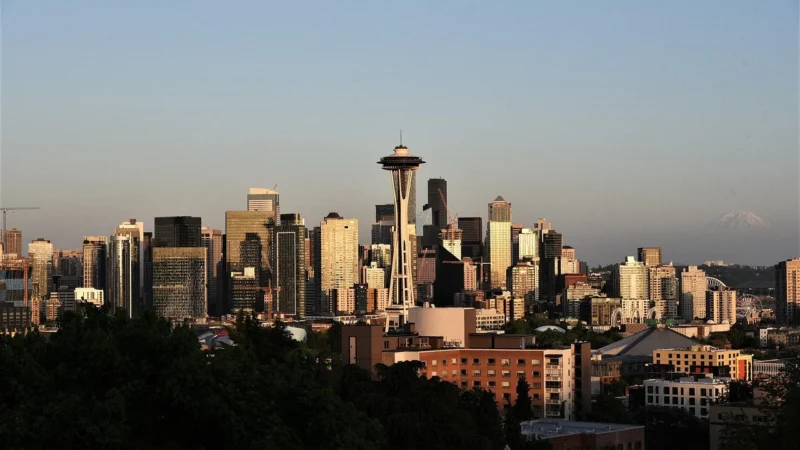 Spodnie Seattle Bordowy XXL 44