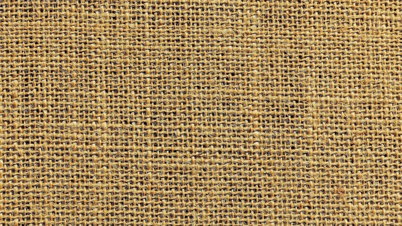Spodnie Wenezja Beżowy XXL 44