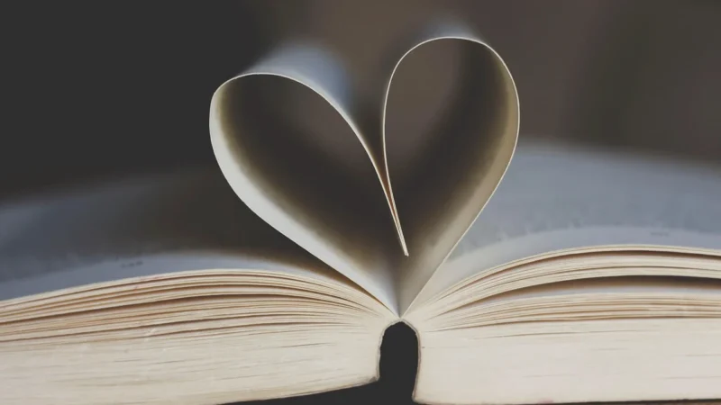 Spodnie Wenezja Czerwony XL 42