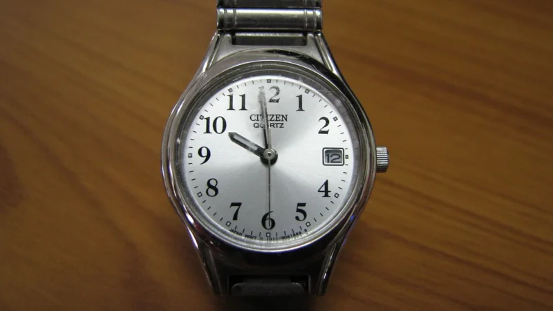 Tommy Hilfiger Damon 1791420