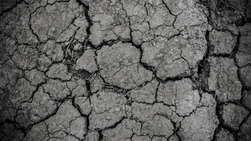 Wpływ zmian klimatycznych na bioróżnorodność w Polsce